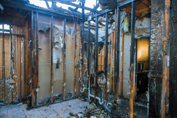 Professional Fire Damage Removal technician working in Merryville, LA